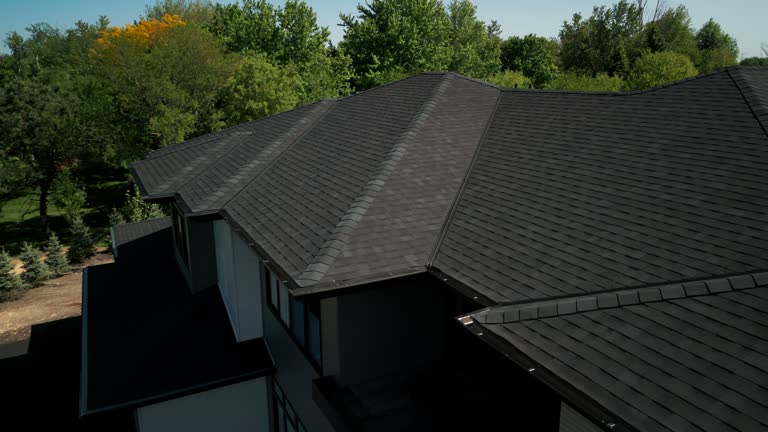 Best Chimney Flashing Repair  in Scissors, TX
